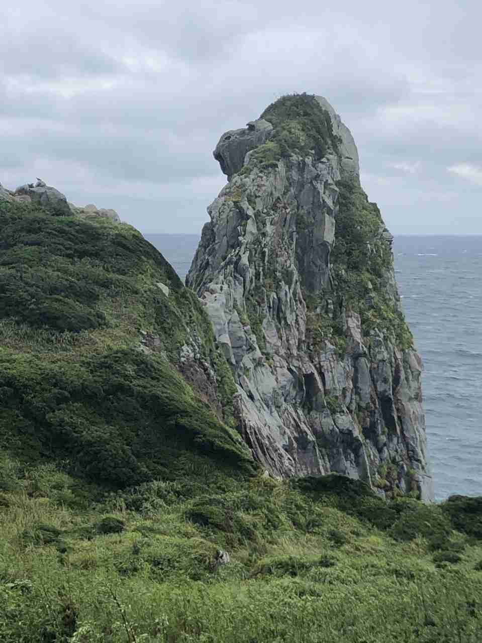 「キモい」「泥棒」と叱責…壱岐島で遺体発見「17歳高校生は里親から虐待されていた」同居していた離島留学生が告発