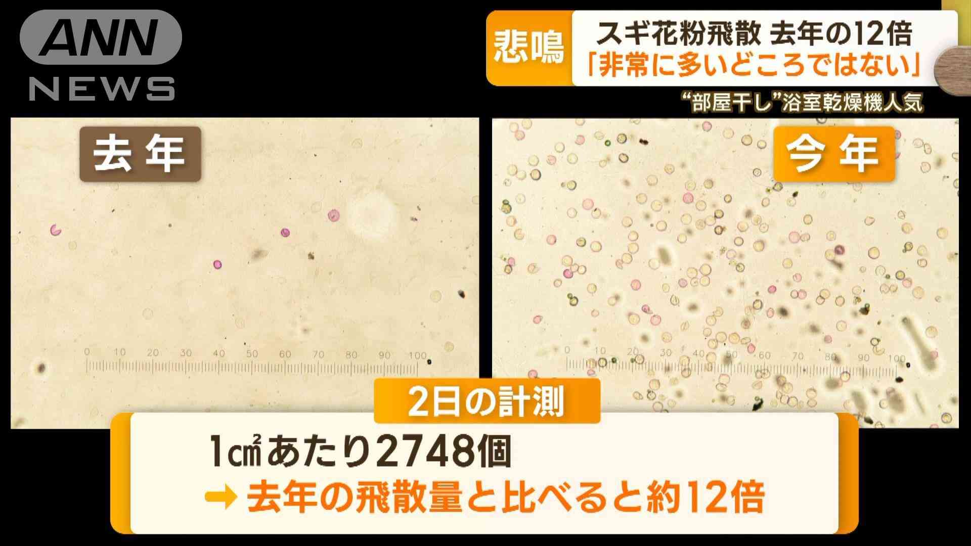 “10年に一度レベル”花粉の大量飛散…量は去年の12倍「非常に多いどころではない」
