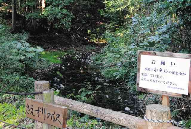 高濃度PFAS、相模原の地下水や河川で検出相次ぐ　暫定指針値の30倍地点も　汚染源は複数か：東京新聞 TOKYO Web