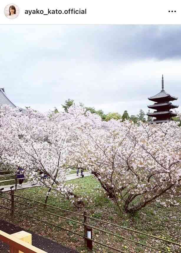 会社社長と結婚→家庭優先で休業の加藤綾子、37歳現在の姿が「めっちゃ綺麗」と反響!手料理もお見事