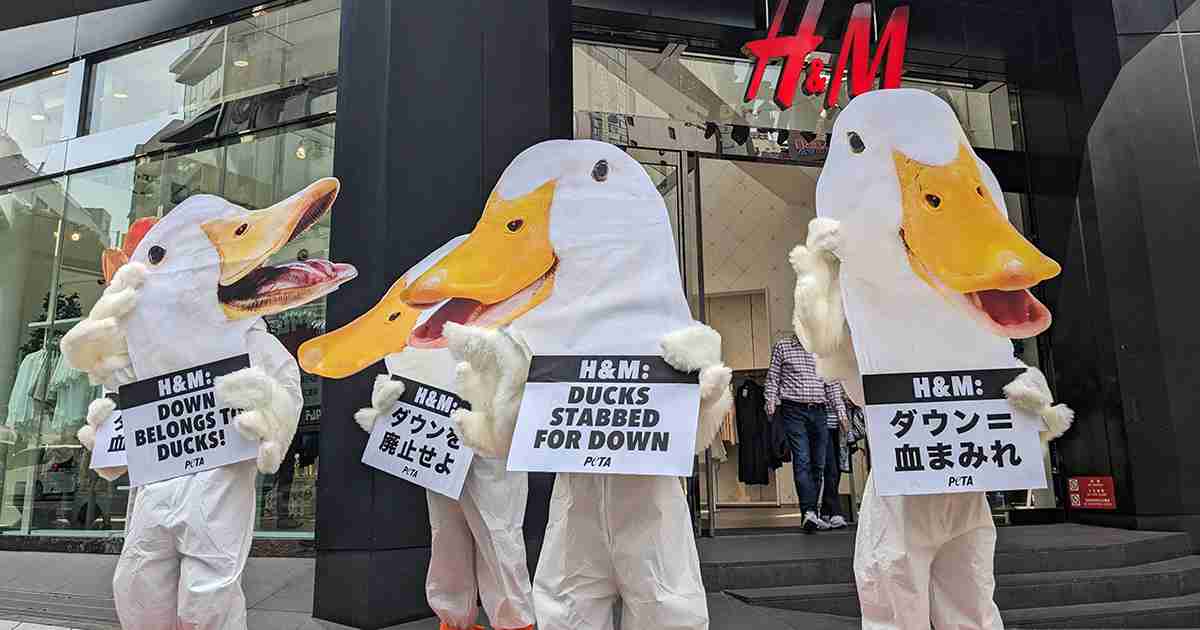 「ダウンを廃止せよ」　H&M渋谷店で動物愛護団体が抗議 - WWDJAPAN