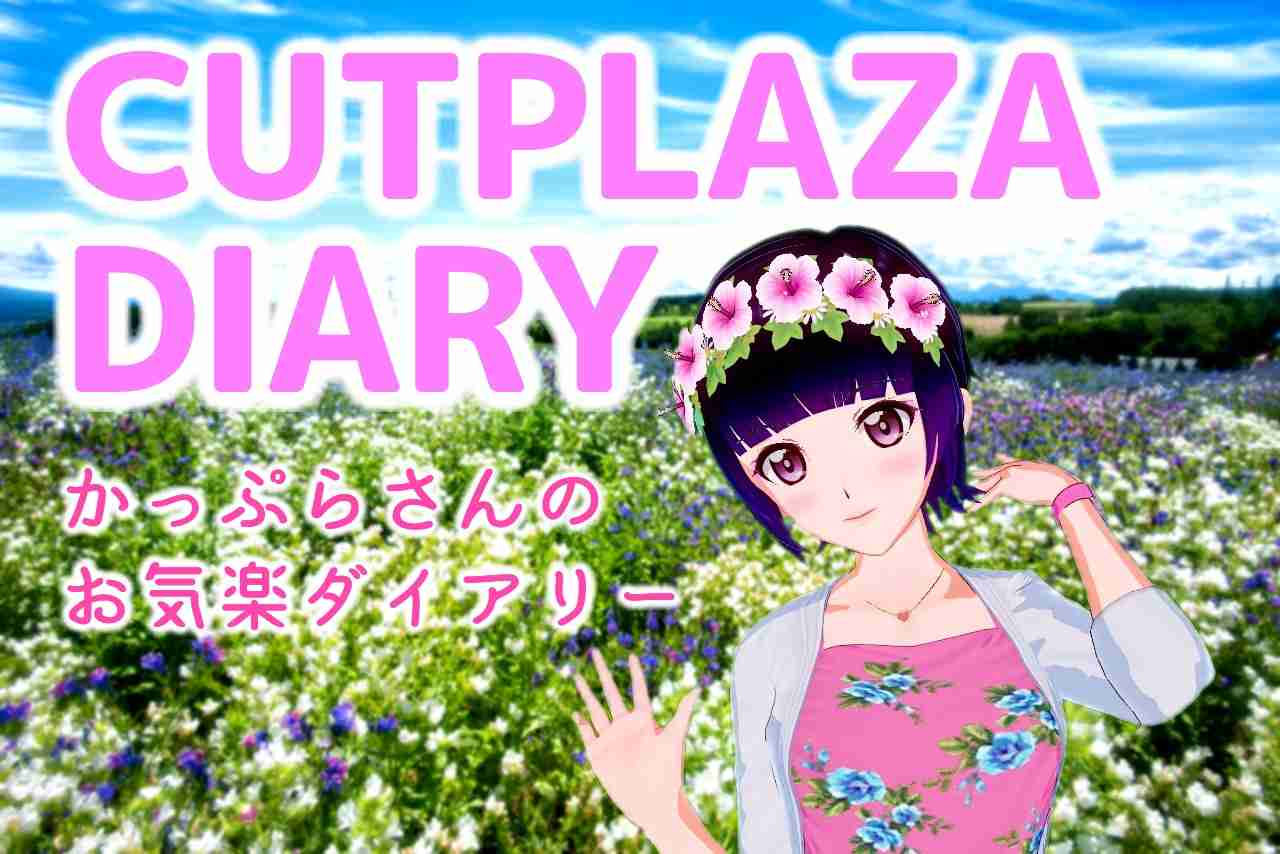 娘通う大津市の小学校の教師に暴行し土下座させた母親を逮捕 | CUTPLAZA DIARY