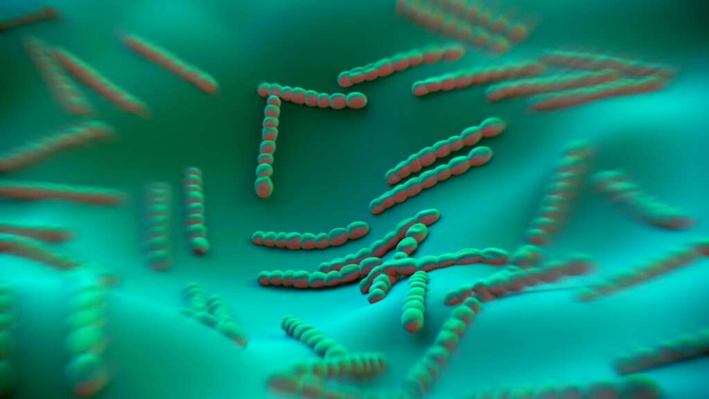 The burden of invasive strep A infections in low-income countries