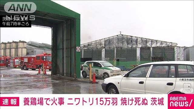 【速報】養鶏場で火事　ニワトリ15万羽焼け死ぬ　茨城（テレビ朝日系（ANN）） - Yahoo!ニュース