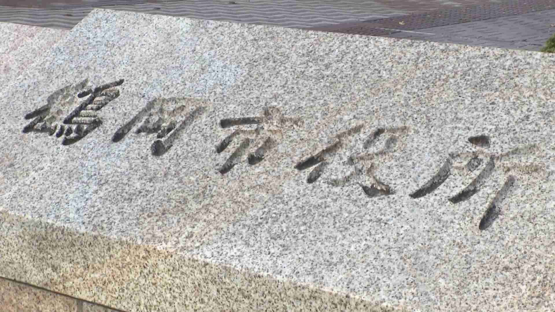 海岸に死んだイルカが打ち上げられる 体長2メートルほど腐敗進む（テレビユー山形） - Yahoo!ニュース