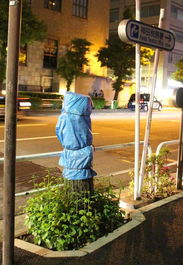 イチョウ並木の伐採は是か非か　住民対立で歩道整備が暗礁に　東京・千代田区