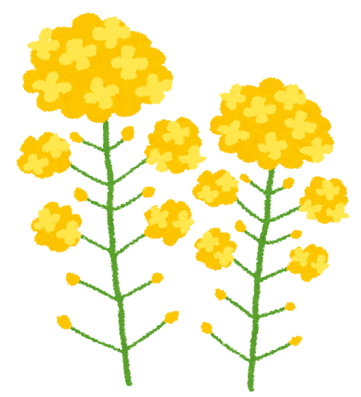 花の世界にガルちゃんがあったら立ちそうなトピ【part7】