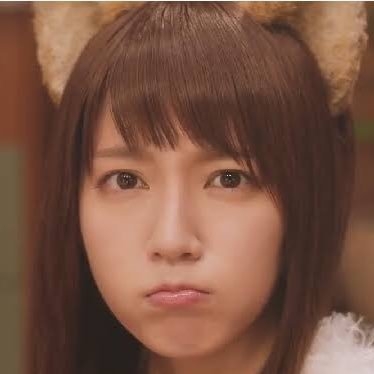 日本の国益?CFJ?? on Twitter: 