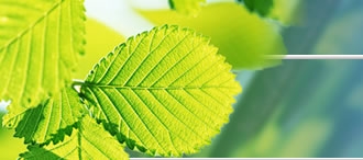 裁判所が認定したジャニー喜多川による少年への「淫行行為」｜みどり共同法律事務所