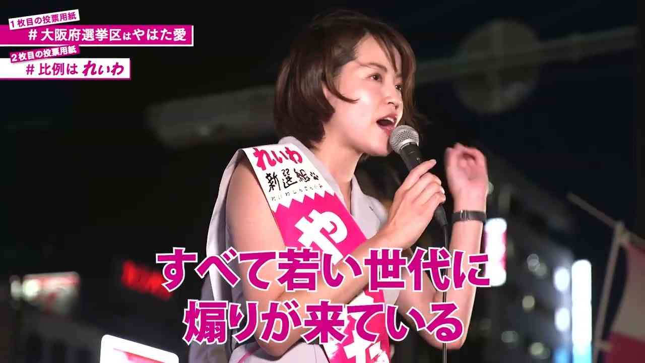 【山本太郎】年間380億円を懐に入れる奴らがいる【やはた愛】 #大阪選挙区はやはた愛 #東京選挙区は山本太郎 #比例はれいわ - YouTube
