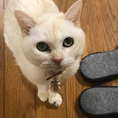 Hiromi1961 on Twitter: 