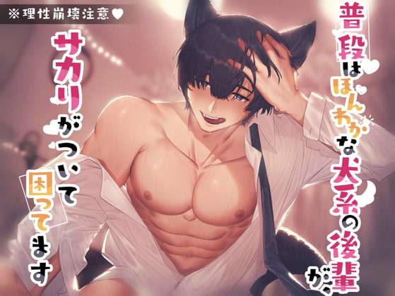 【CV:風見灰児】【みんないつもありがとう記念作品】普段はほんわかな犬系の後輩が、サカリがついて困ってます [BEDROOM] | DLsite がるまに