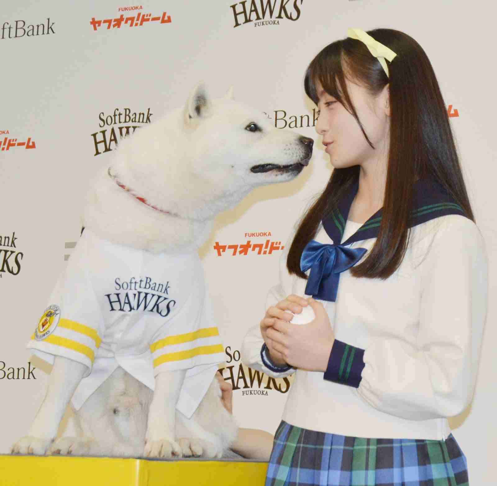 橋本環奈「王様に捧ぐ薬指」初回視聴率7・5%　綾華は東郷から「結婚しよう」と告げられ…
