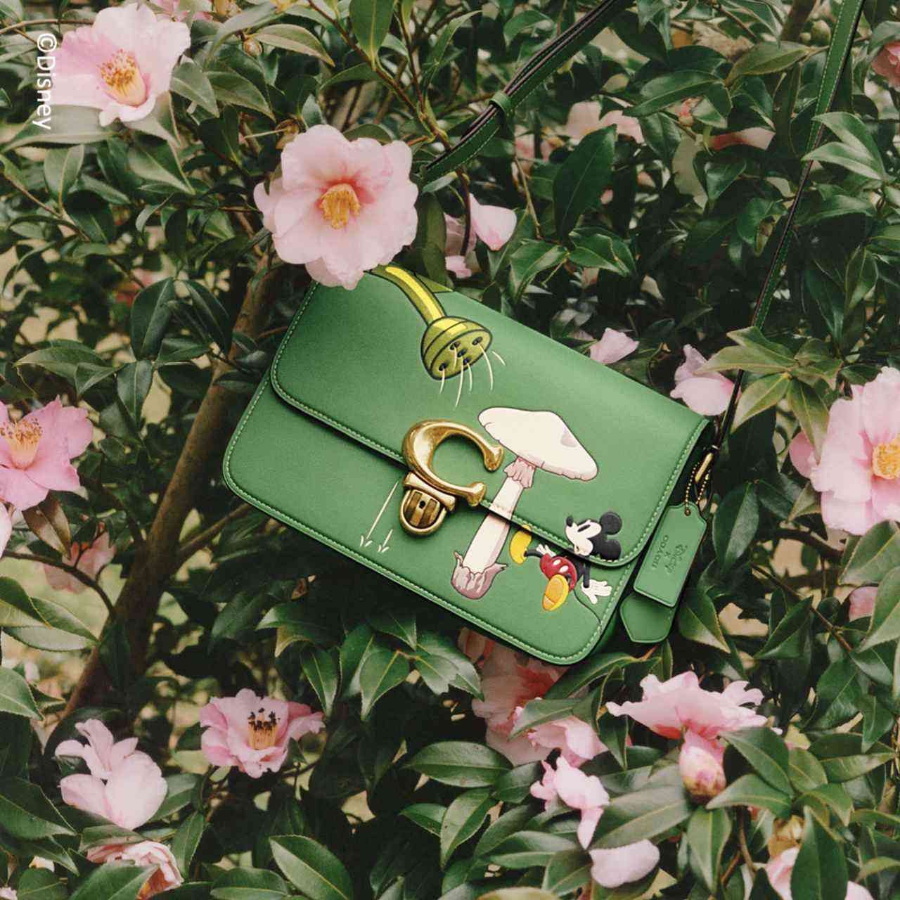 【バッグ】最近COACHが気になる【財布】