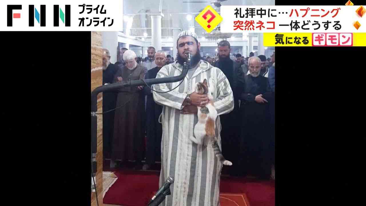 礼拝中に...ハプニング　突然ネコ 一体どうする　アルジェリア - YouTube