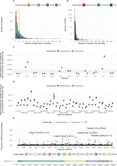 Within-host genetic diversity of SARS-CoV-2 lineages in unvaccinated and vaccinated individuals | Nature Communications