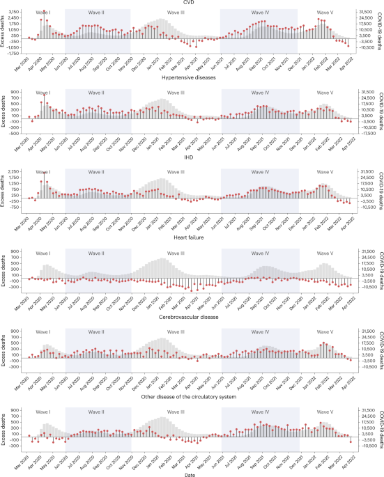 Excess cardiovascular mortality across multiple COVID-19 waves in the United States from March 2020 to March 2022 | Nature Cardiovascular Research