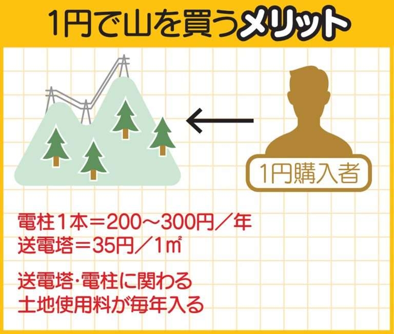 1円で買った「田舎の山」。維持費もゼロなのに、驚きの金額に化ける理由