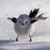 木星３ ?????＋flu? on Twitter: 