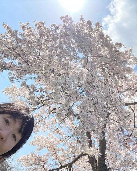 光浦靖子 「怖い!逃げた」カナダでのお花見で文化の違い痛感「だから誰も桜の下でお寿司を食べないんだ」