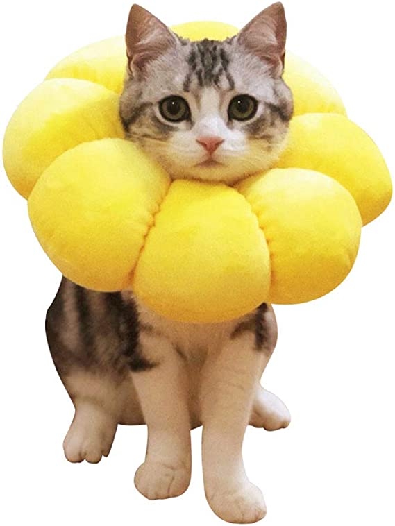 20年で34億個販売の『ポン・デ・リング』 “もちもち”で革命起こした背景に「アメリカ文化への憧れ」からの脱却