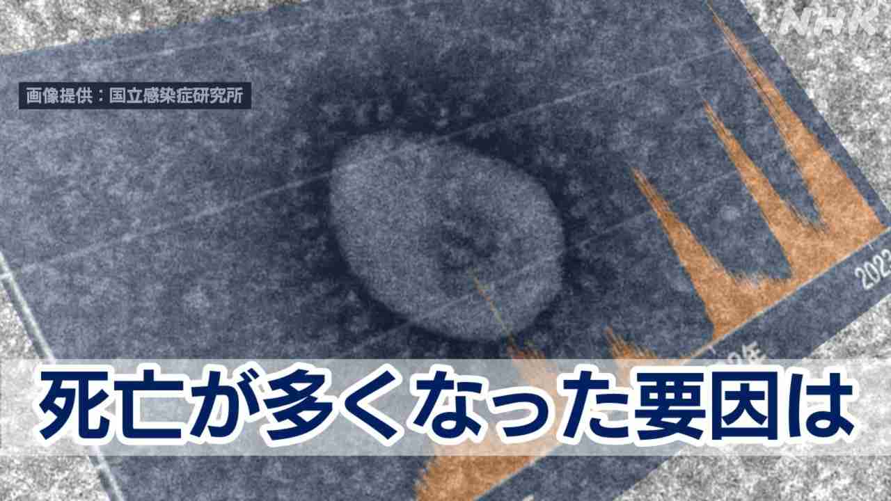 新型コロナ第8波 死亡が多くなった要因 専門家の考察や対策は | NHK