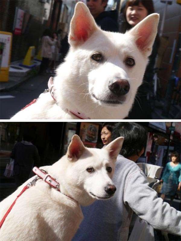 ガルちゃんで画像（サイト）を貼り付ける方法＆練習Part35