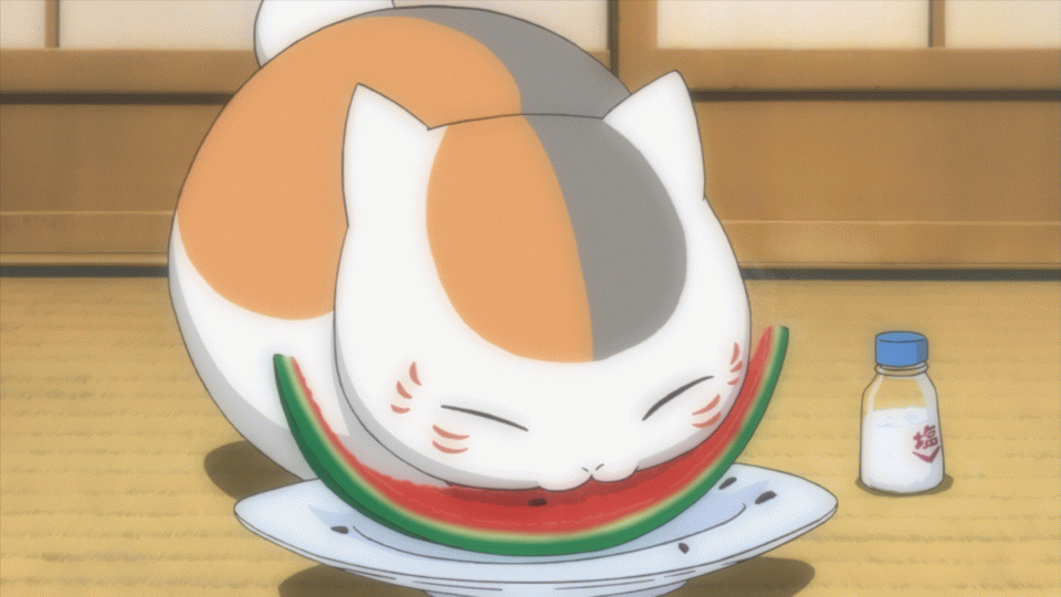 愛くるしい画像で癒やされたい