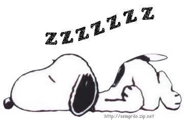 愛くるしい画像で癒やされたい