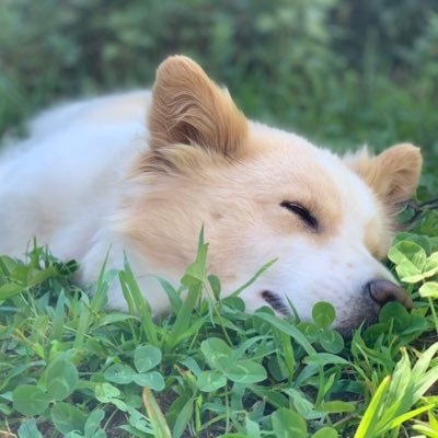 Kei (ブログ【イマオト】/ラジオ/ポッドキャスター) on Twitter: 