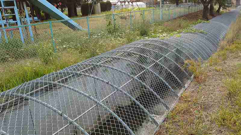 農家ですら流される、用水路の水難事故をなくせ　最新の安全対策技術を一挙公開（斎藤秀俊） - 個人 - Yahoo!ニュース