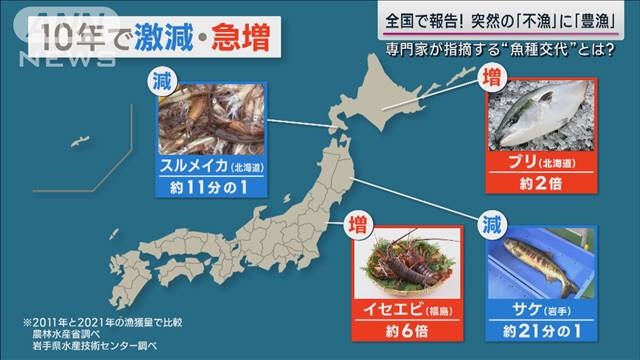 富山湾でホタルイカ激減 函館でブリ急増 異変相次ぐ日本の海に専門家は「魚種交代」（テレビ朝日系（ANN）） - Yahoo!ニュース