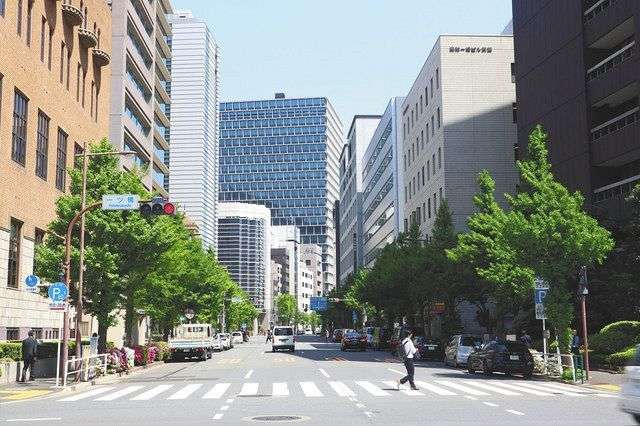 東京・千代田区「神田警察通り」のイチョウ伐採問題　これまでの経緯、取材記者の見方は？：東京新聞 TOKYO Web