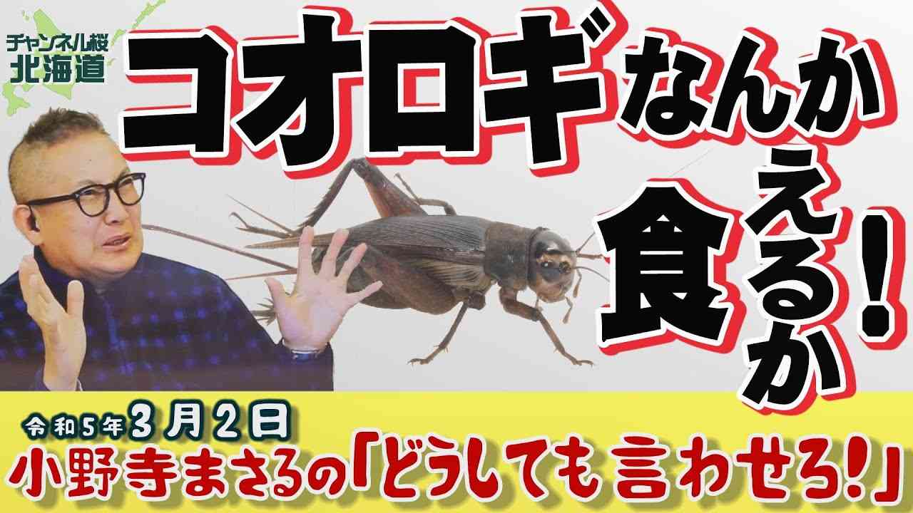【小野寺まさるの「どうしても言わせろ！」】コオロギなんか食えるか！[R5/3/2] - YouTube