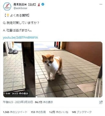 人気企業ツイッター「人権を傷つける不適切な投稿」で謝罪 「著しく配慮と自覚を欠く行為」担当者を処分へ