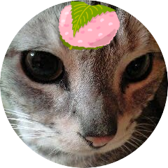 三月兎(濃淡判定士・手洗いうがい疫病退散) on Twitter: 