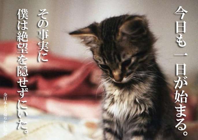 子供が学校や習い事に行く前に「行きたくない」と必ず言う。