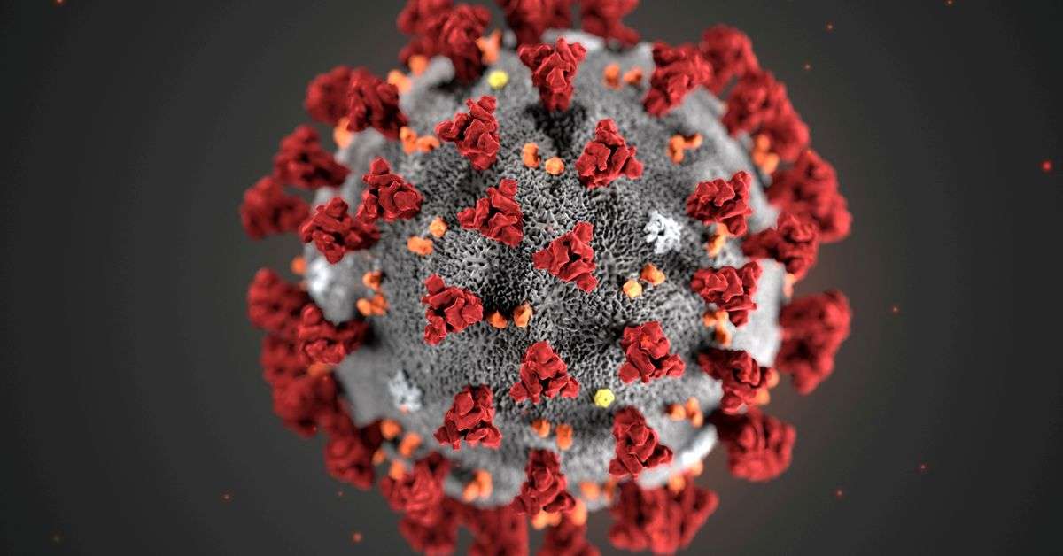 COVID caused brain damage in 2 infants infected during pregnancy -US study | Reuters