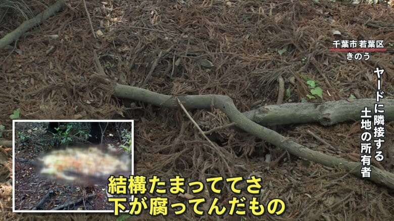 【独自】「日本語が通じない」巨大スクラップ山に“騒音”“異臭”…住民困惑　千葉市・改善命令に従わない場合は刑事告発も