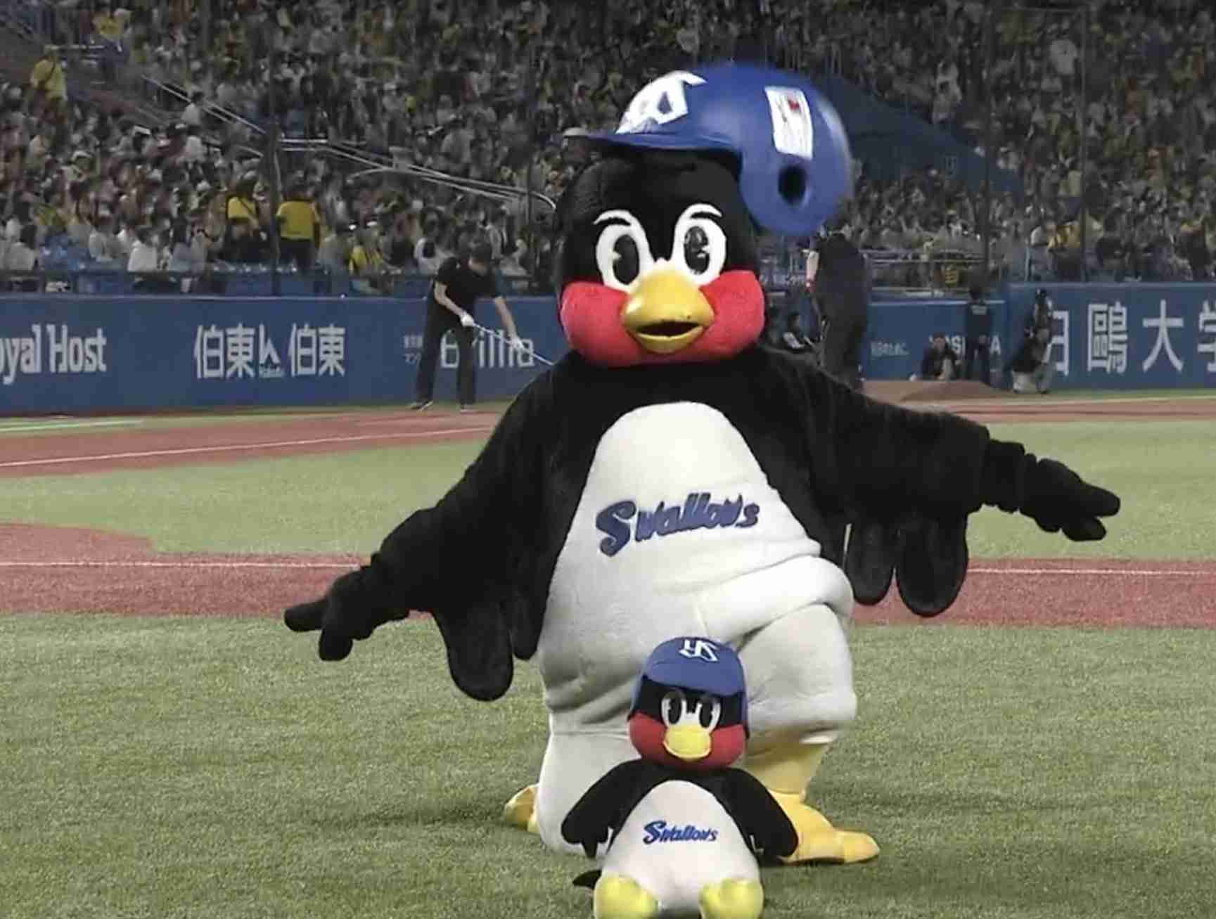 🐧ヤクルトスワローズファン集まれ⛱