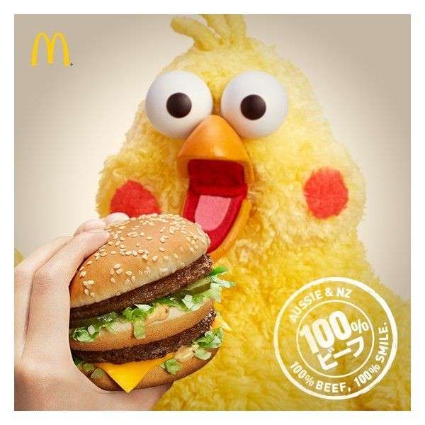 愛くるしい画像で癒やされたい