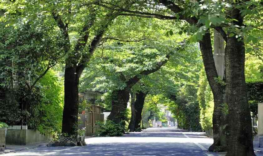 「5月」お金持ちの総合トピ
