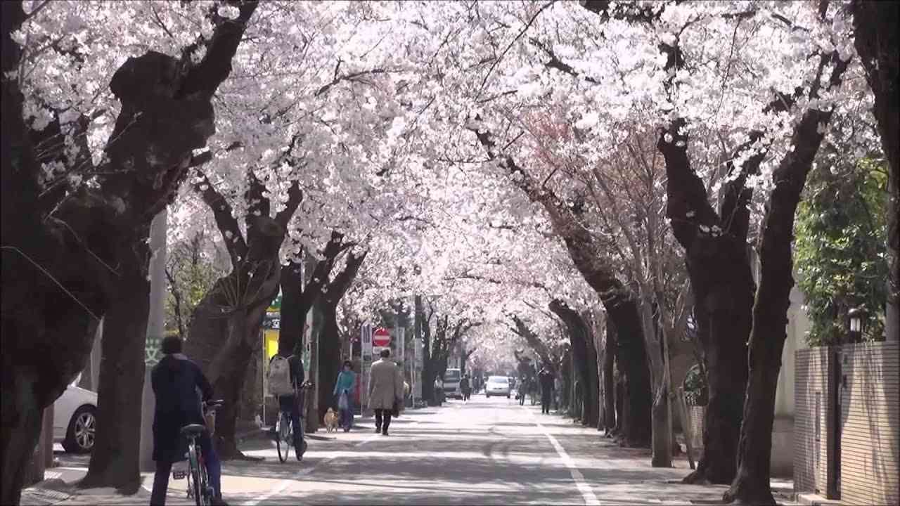 「5月」お金持ちの総合トピ