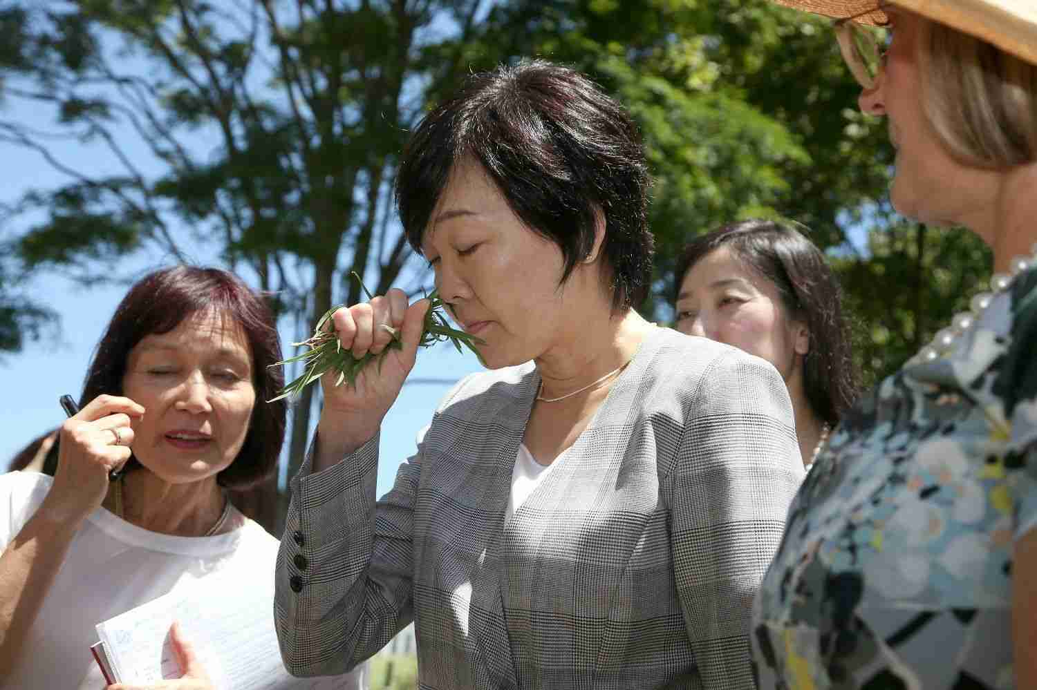 政治を学びたい
