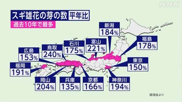スギ花粉 東京など 過去10年間で最多の予想 「花粉症手当」も | NHK | 気象