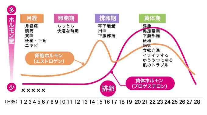 PMSの時、みんなどうやって過ごしてるの？