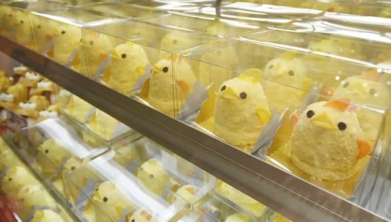 名古屋の〝かよわい〟スイーツ「ぴよりん」大阪で限定販売したら争奪戦に 崩れやすさ逆手、持ち運びチャレンジがSNSで人気