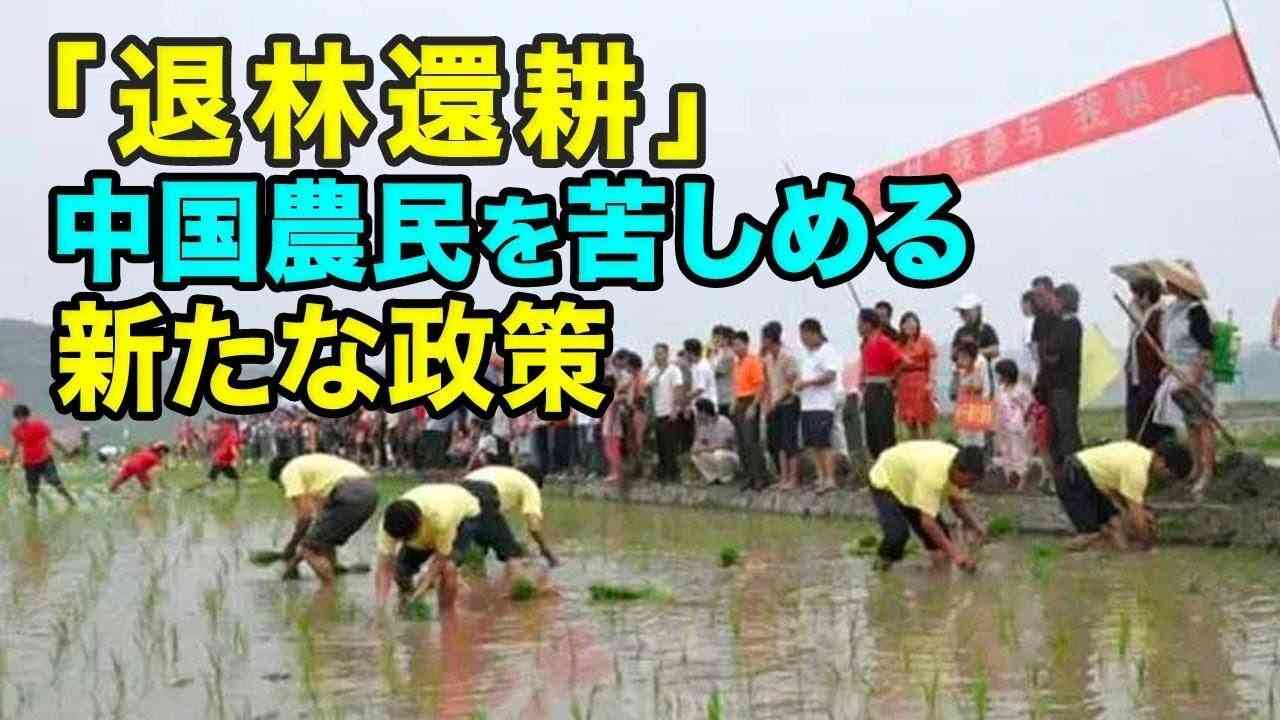 「退林還耕」　中国農民を苦しめる新たな政策 - YouTube