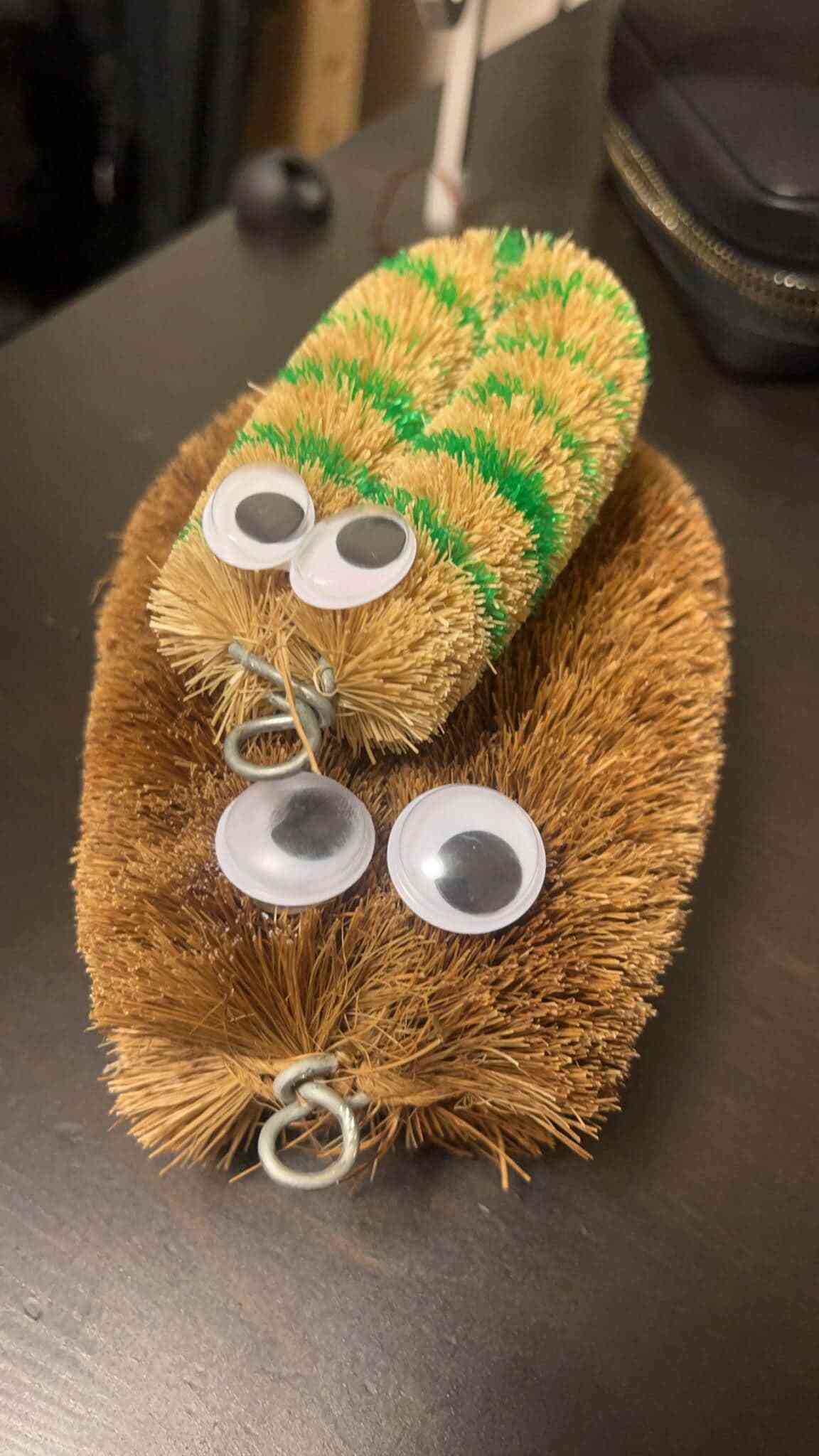 「不覚にも癒されてしまった」　SNS驚きの「たわし散歩サークル」って一体何？当事者が語る活動の魅力: J-CAST ニュース