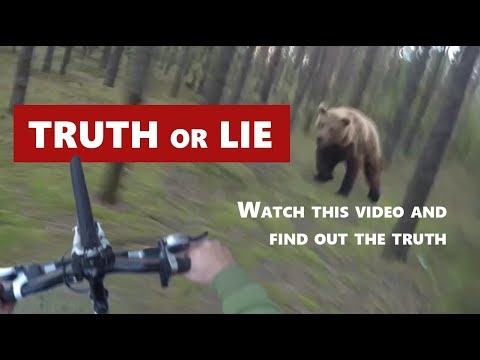 The whole truth about the bear attack video - YouTube